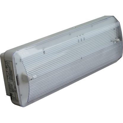 CE+T V601601051 ARGOS 15 P - Permanent - 150 lumens